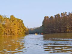 -上海海湾国家森林公园