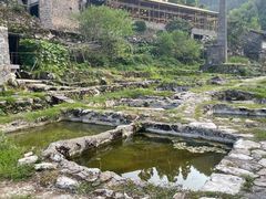 -MOJ coffee(瓯海泽雅水碓坑店)