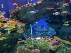 -海合安成都极地海洋公园