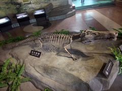 -自贡恐龙博物馆