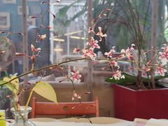 -六出私塾LiuChu•成人美术书法系统课程专业画室(熊婆婆的花园店)