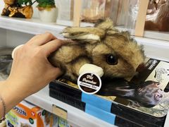 -汪说喵讲宠物乐园宠物酒店(红星美凯龙店)