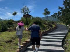 -白水寺森林公园