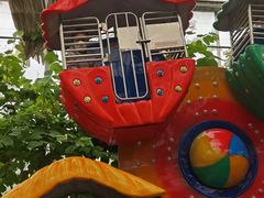 -南宫五洲植物乐园