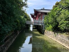 -美的鹭湖森林度假区