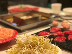豆芽-红鼎坊·老成都火锅(新南门店)