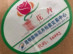 -昆明国际花卉拍卖交易中心