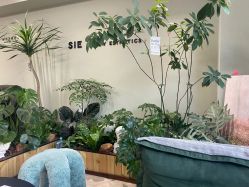 点击看大图 -Lumi露米·美甲美睫品质店