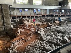 -自贡恐龙博物馆