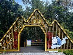 -霸王岭国家森林公园