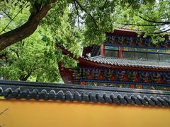 -杭州半山国家森林公园