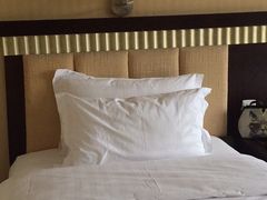 -成都世纪城假日酒店-西楼