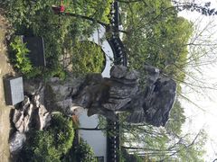 iphone_upload_pic-汇龙潭