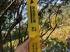 -八卦田遗址公园