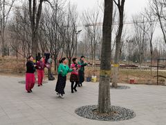 -回龙观体育文化公园