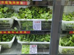 -黔府豆米火锅野菜馆(南马店)