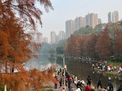-重庆彩云湖湿地公园