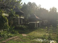 -四季酒店下午茶