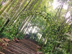 -杭州黄龙洞
