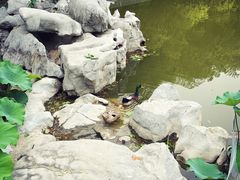 -河南省黄河迎宾馆