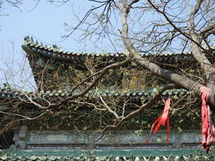 -隆兴寺