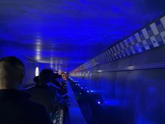 -白鹤梁水下博物馆