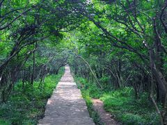 -南山风景名胜区