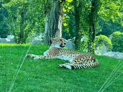 -北京野生动物园