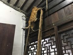 -吾介小籠館