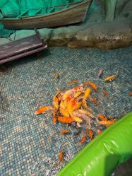 -酷嗒动物文化乐园(cutezoo西溪乐天城店)