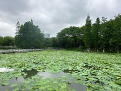 -白塘生态植物园