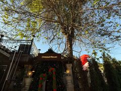 -Lamant Manor已闻花名關於藍