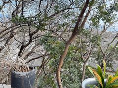 -丽江束河古镇-石莲古寺