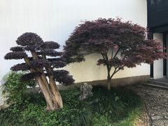 -绮园景区