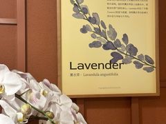 -LANN I 蘭·泰式古法按摩(高岛屋百货店)