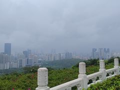 -莲花山公园