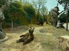 -郑州银基国际旅游度假区