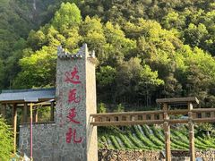 -达瓦更扎