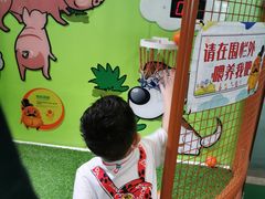 -中国宋庆龄青少年科技文化交流中心