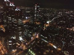 -东京都厅舍
