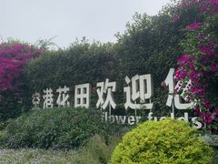 -空港花田景区