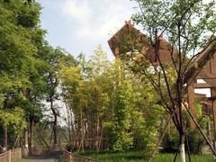 -桤木河湿地公园