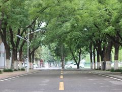 -曲阜师范大学(曲阜校区)