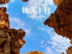 -元谋土林景区(物茂土林)
