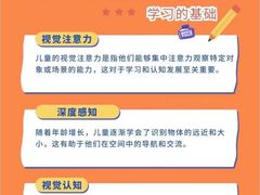 -金色雨林学习力培优(专注力提升)