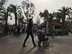 -迪士尼火鸡腿