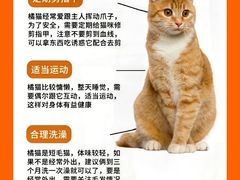 -lincat·猫舍(广州店)