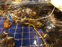 -79号渔船海鲜饭店(华强北店)