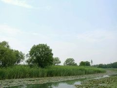 -太湖湖滨国家湿地公园-停车场