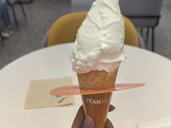 -野人先生现做冰淇淋(北京环宇荟店)